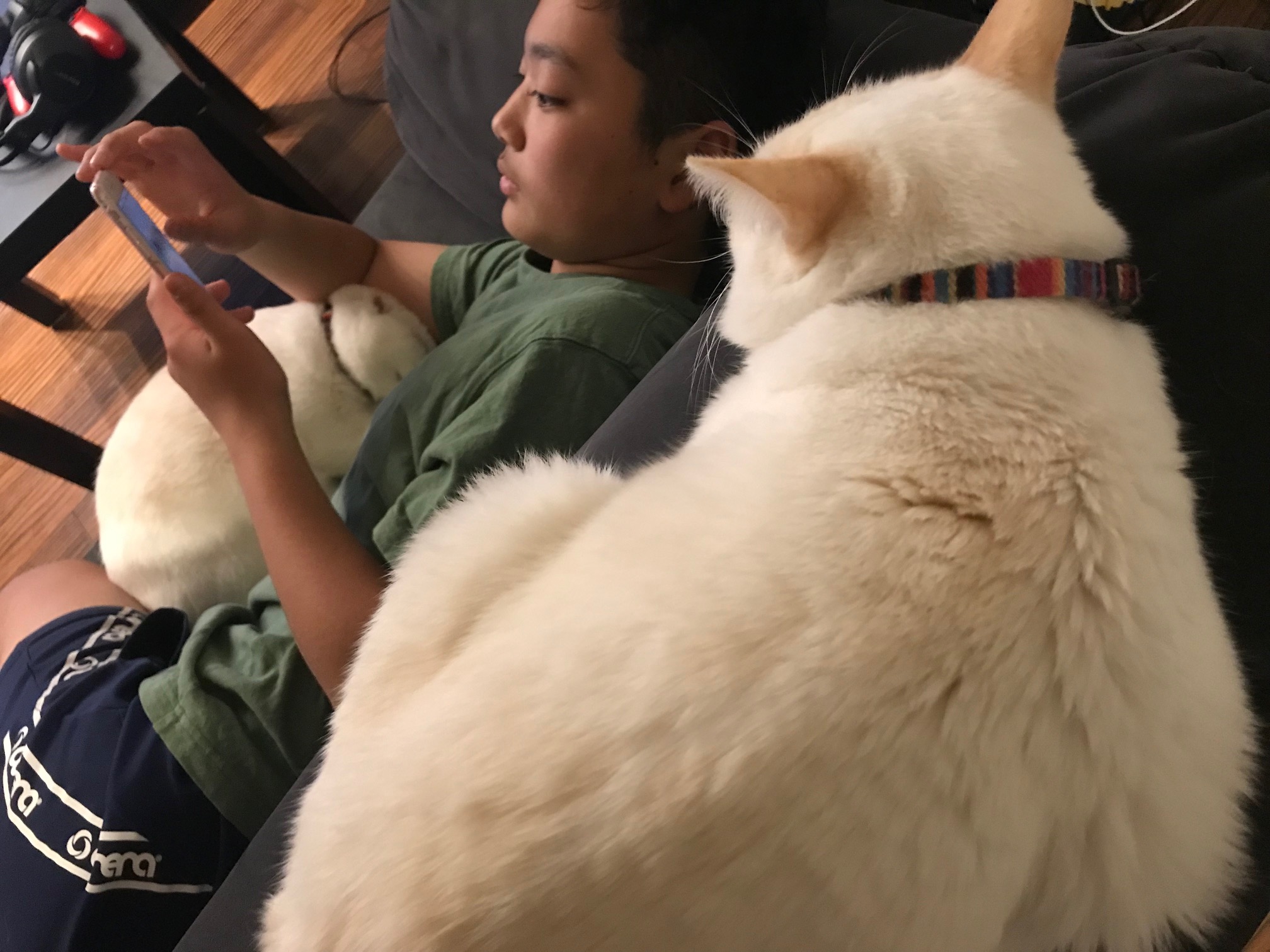 前頭葉頭痛の原因は何ですか?